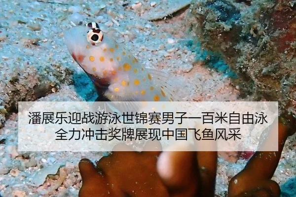 潘展乐迎战游泳世锦赛男子一百米自由泳 全力冲击奖牌展现中国飞鱼风采