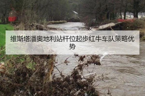 wei-si-ta-pan-ao-di-li-zhan-gan-wei-qi-bu-hong-niu-che-dui-ce-lve-you-shi-2-488.jpg