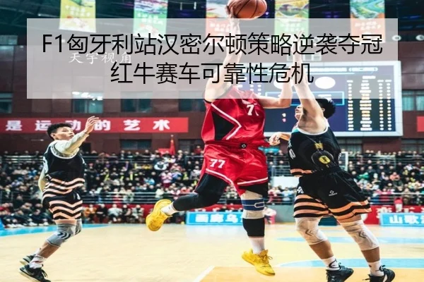 xiong-ya-li-zhan-han-mi-er-dun-ce-lve-ni-xi-duo-guan-hong-niu-sai-che-ke-kao-xing-wei-ji-3-493.jpg